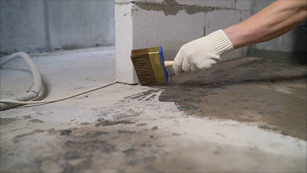 24/7 Emergency Crawl Space Encapsulation experts in Dyer, IN